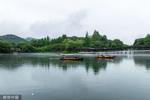 杭州 梅雨 不断 西湖景区雾气氤氲宛如仙境