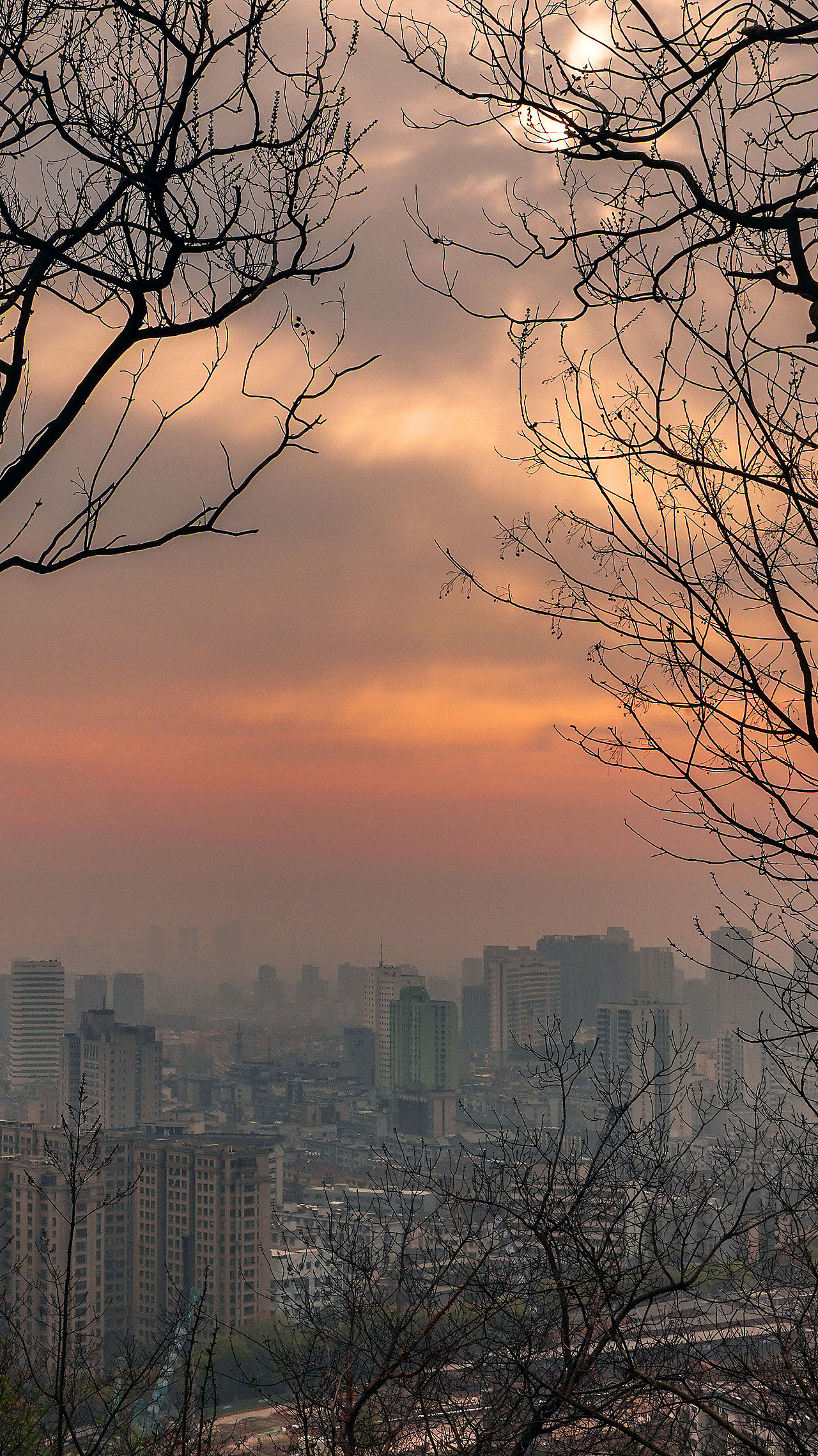 《早》 浙江省杭州市余杭区临平山