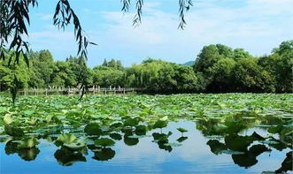 在杭州悠闲生活 给身心放个大假