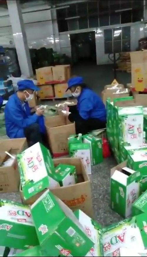 发霉乳酸菌过滤后又变回原料 知名厂家员工自曝